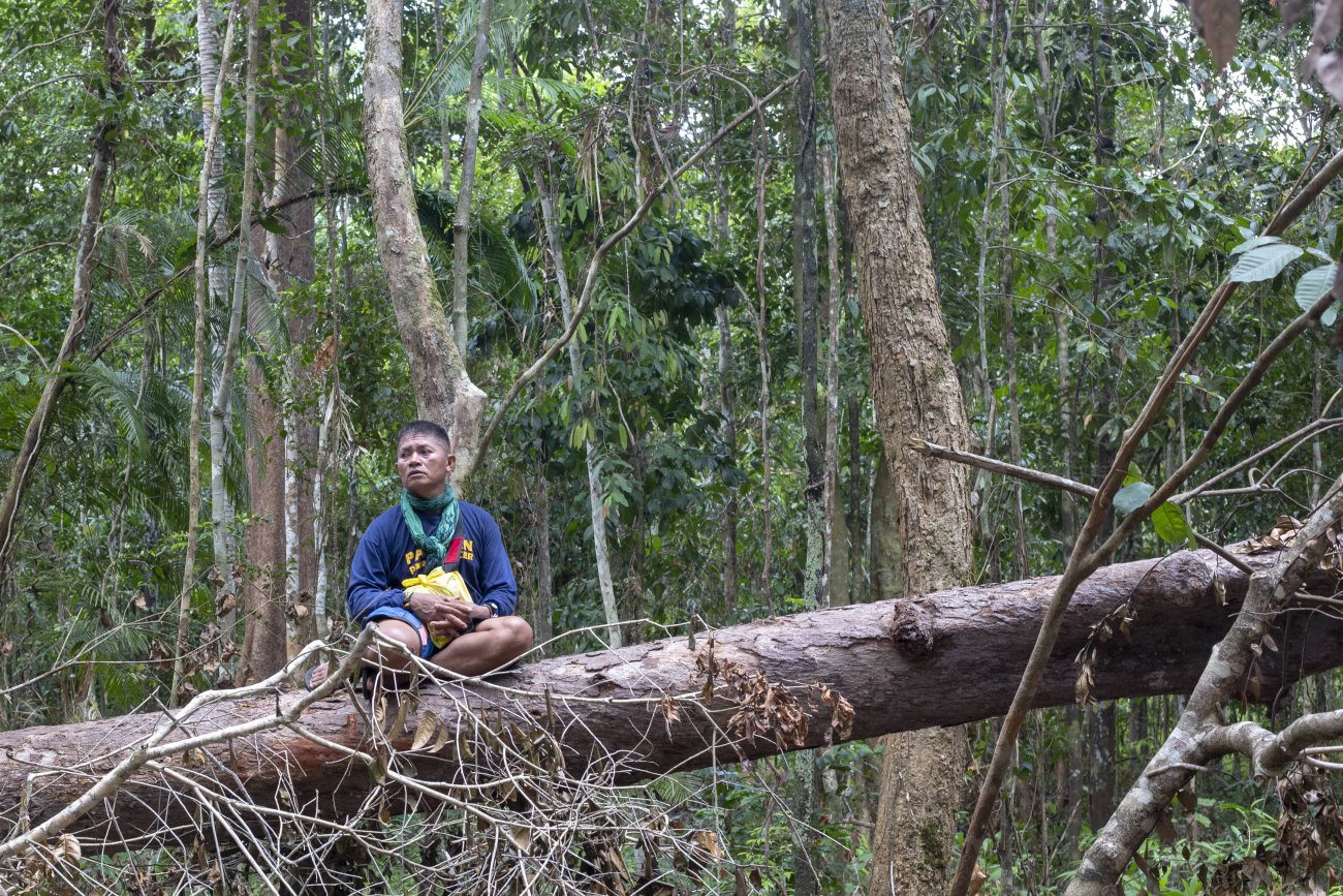 Man stands on tree, crouching. Tree has many vines hanging off. 